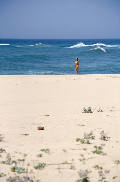 A Ilha Deserta tem águas transparentes, natureza intacta e dunas. Para chegar lá, embarque nos navios que partem