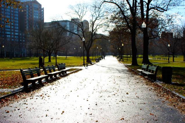 O Boston Commom é considerado o parque mais antigo dos Estados Unidos. Por aqui, diversos esquilos surgem para posar para as lentes de fotógrafos amadores