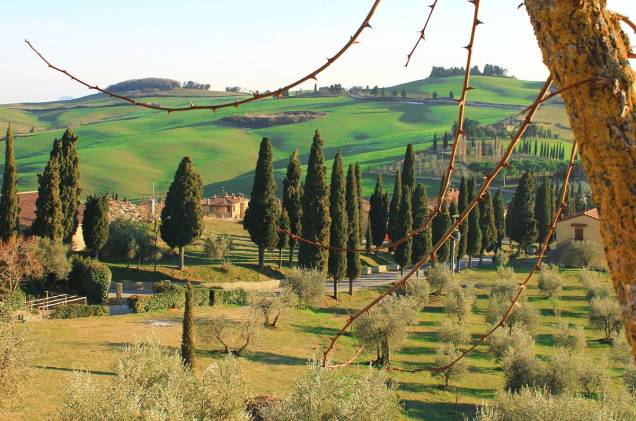 Região rural da Toscana, perto da cidade de Arezzo, no centro da Itália. A Toscana é famosa mundialmente pelos campos verdejantes, repletos de plantações de vinho e de oliveiras
