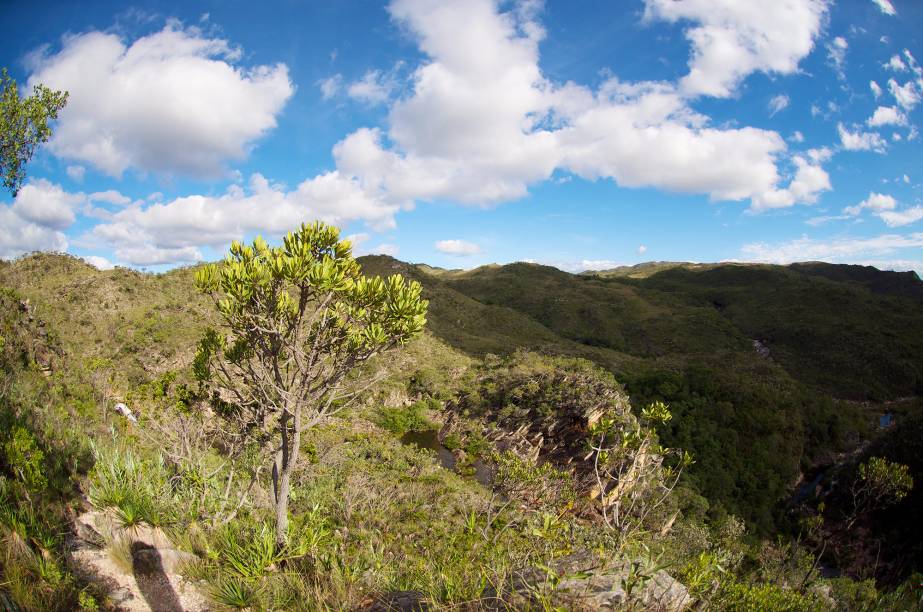 A Serra do Cipó, por estar localizada na divisão entre as bacias dos rios São Francisco e Doce, abriga uma fauna e uma flora riquíssimas e singulares