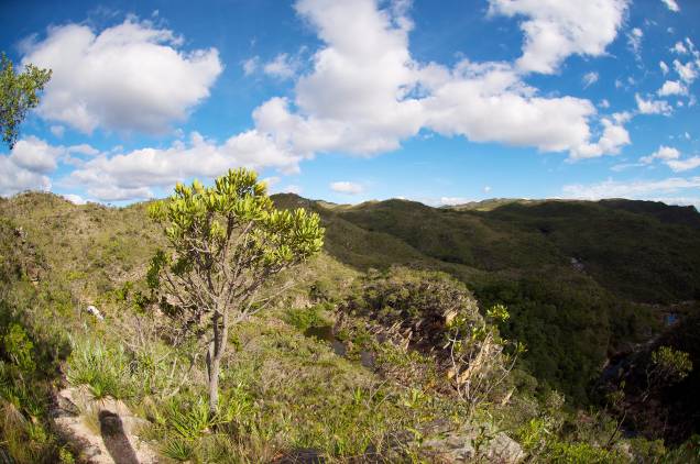 A Serra do Cipó, por estar localizada na divisão entre as bacias dos rios São Francisco e Doce, abriga uma fauna e uma flora riquíssimas e singulares A Serra do Cipó, por estar localizada na divisão entre as bacias dos rios São Francisco e Doce, abriga uma fauna e uma flora riquíssimas e singulares