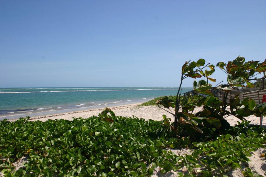 A Praia do Saco da Pedra é mais tranquila que a vizinha Praia do Francês. Há três maneiras de chegar: a pé, de carro ou de barco, mas para chegar a pé, a partir da Praia do Francês, a maré tem de estar baixa