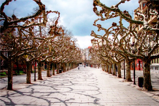 As árvores próximas ao Arco de Santa Maria são muito fotografadas em Burgos