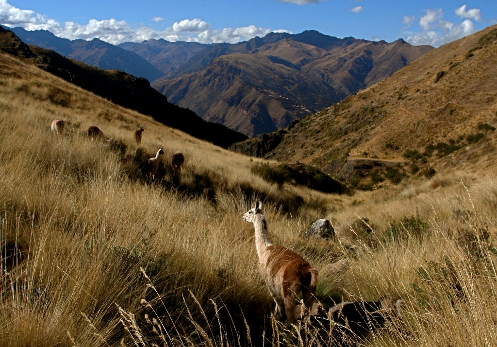 Trilha Inca, Peru