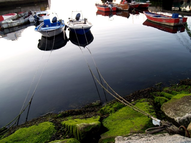 O porto galego de Vigo é o mais movimentado da Espanha em termos de produção pesqueira. Não só uma fonte de subsistência, o mar legou à cidade uma forte herança gastronômica, como as imbatíveis lulas e sardinhas grelhadas