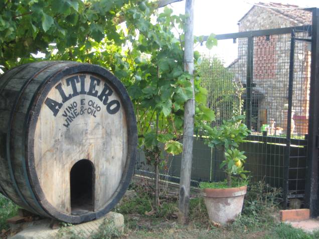 A vinícola se empenha pela excelência na fabricação do vinho e do azeite seguindo a tradição que remonta a cerimoniais ancestrais conservadas até hoje