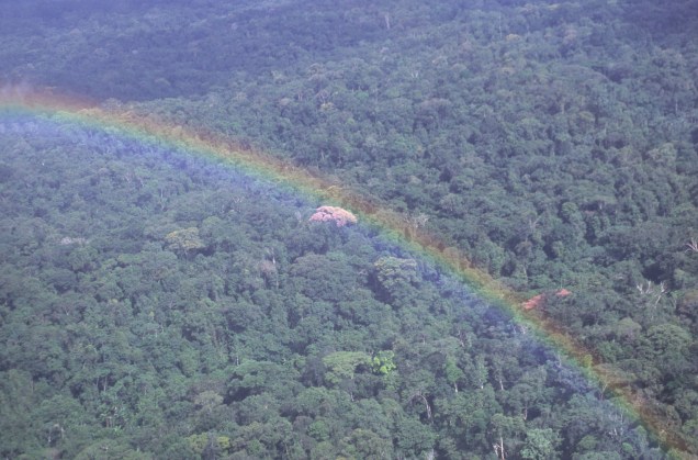 Parque Nacional de Tucumaque no <a href="https://viajeaqui.abril.com.br/estados/br-amapa" rel="Amapá" target="_blank">Amapá</a> é o maior parque de floresta tropical do mundo