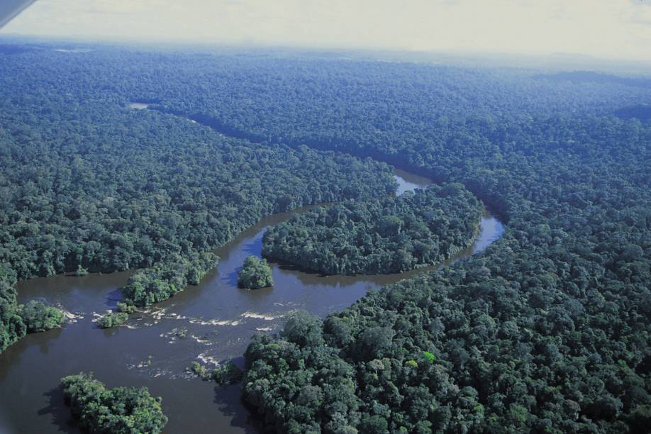 Parque Nacional de Tucumaque no <a href="https://viajeaqui.abril.com.br/estados/br-amapa" rel="Amapá" target="_blank">Amapá</a> é o maior parque de floresta tropical do mundo