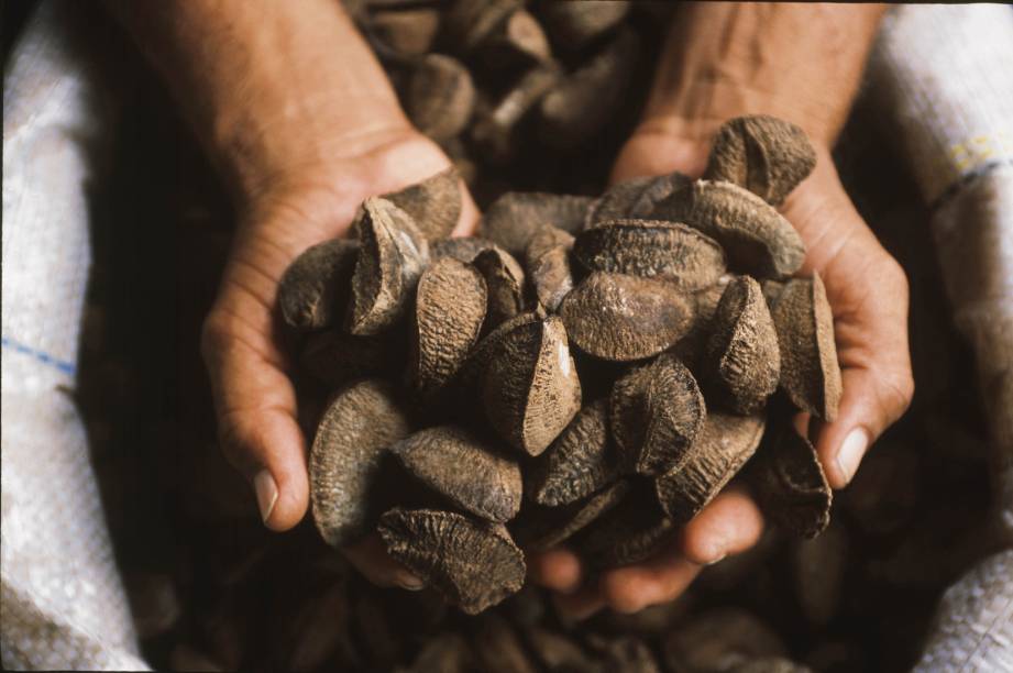 Castanhas-do-Pará, bem cultivada no <a href="https://viajeaqui.abril.com.br/estados/br-amapa" rel="Amapá" target="_blank">Amapá</a>