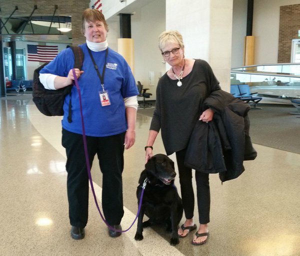 No Wisconsin, o aeroporto de Appleton se uniu a uma ONG de animais abandonados para alegrar os passageiros (crédito: Reprodução Twitter @atwairport)