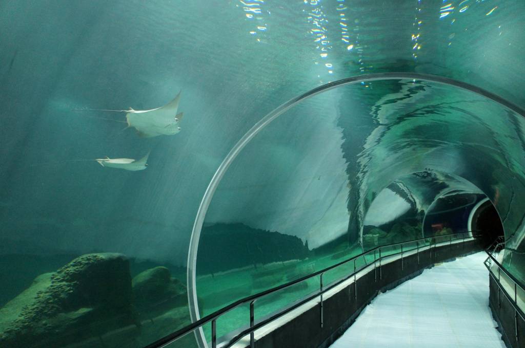 O túnel envidraçado atravessa o Recanto Oceânico, maior aquário do lugar com 7 metros de profundidade (Crédito: Agnnaldo Motta/Divulgação)