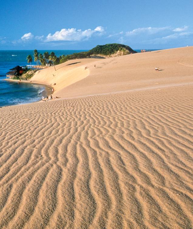 As dunas de Genipabu em momento bugue (e dromedário) free As dunas de Genipabu em momento bugue (e dromedário) free
