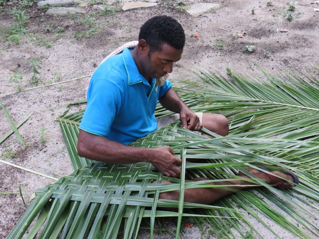 Preparando as folhas de coqueiros para enrolarem a comida na preparação do lovo, o churrasco fijiano