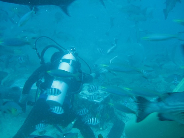 barefoot_resort_fiji-61