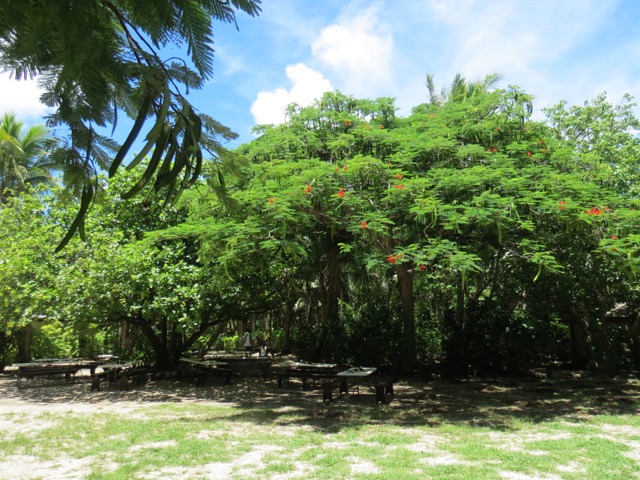 barefoot_resort_fiji-7