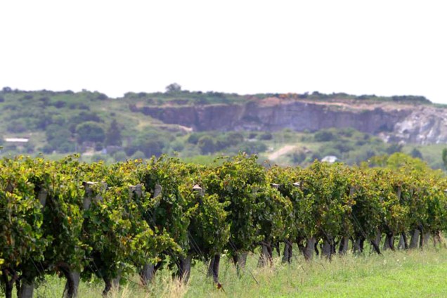 Outra vinícola familiar e acolhedora é a Bodega Familia Irurtia. O clima do local é intimista e inclui uma bela adega para degustação