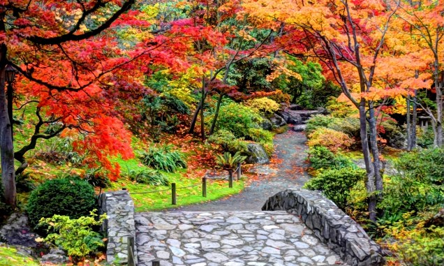 A beleza do Japanese Garden de Seattle, nos EUA