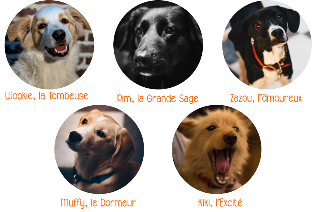 Os cães anfitriões: Wookie, a sensual; Pim,, o grande sábio; Zazou, o amoroso; Muffy, o dorminhoco e Kiki, o animado