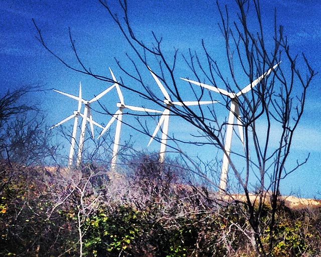 Pirocópteros gigantes de energia eólica na beira da estrada sinalizam: você está saindo de Canoa Quebrada (foto: Ludmilla Balduino)