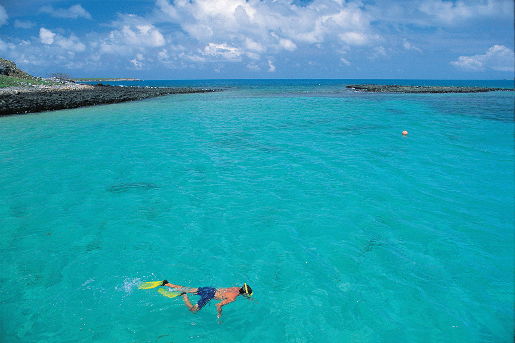 Mergulho no Parque Nacional Marinho de Abrolhos, Bahia