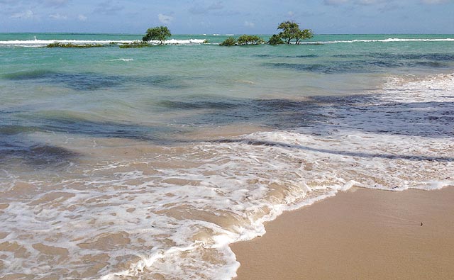 Praia de Carneiros, perto de Recife (PE)