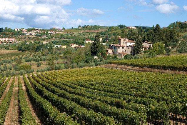 A cidade de Greve in Chianti é conhecida mais do que tudo pelos excelentes vinhos <em>Chianti Classico </em>
