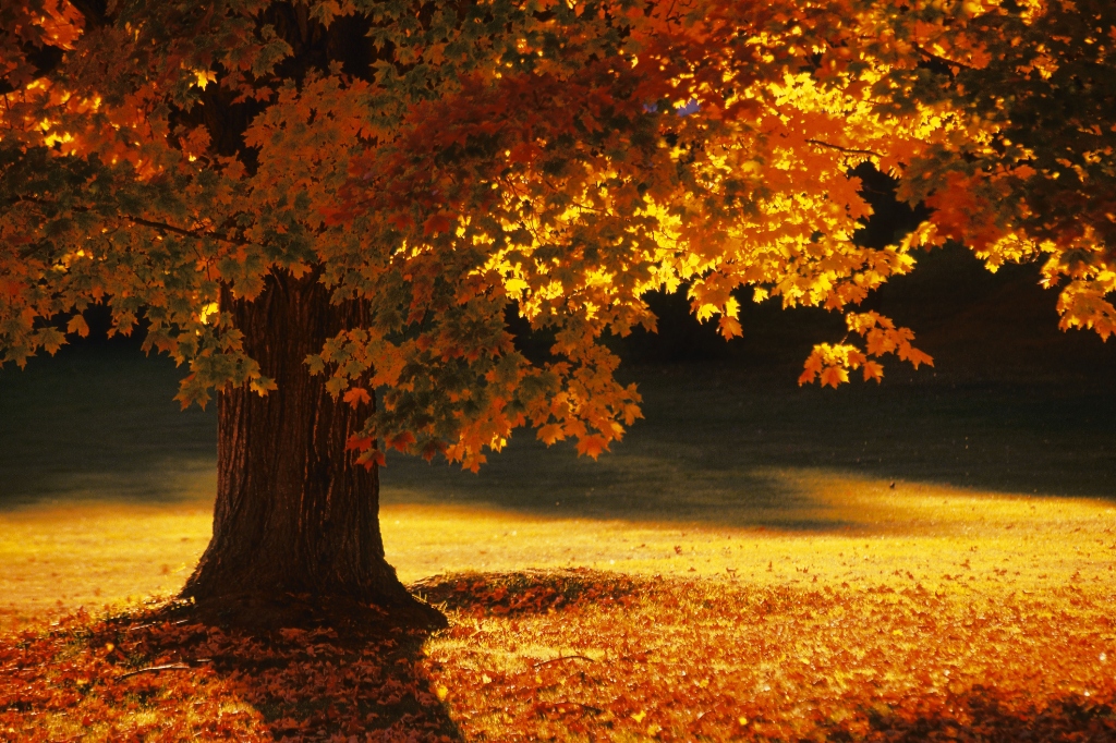 Outono em Bennington Vermont, Estados Unidos