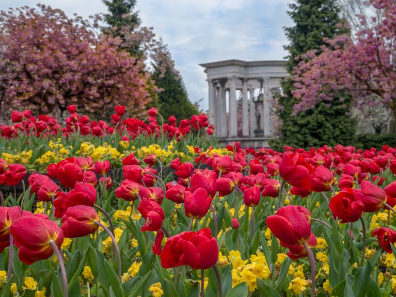 Cardiff é considerada uma das cidades mais verdes do Reino Unido. Por aqui, há mais de 300 parques e jardins graciosos e bem conservados para atrair o visitante Cardiff é considerada uma das cidades mais verdes do Reino Unido. Por aqui, há mais de 300 parques e jardins graciosos e bem conservados para atrair o visitante
