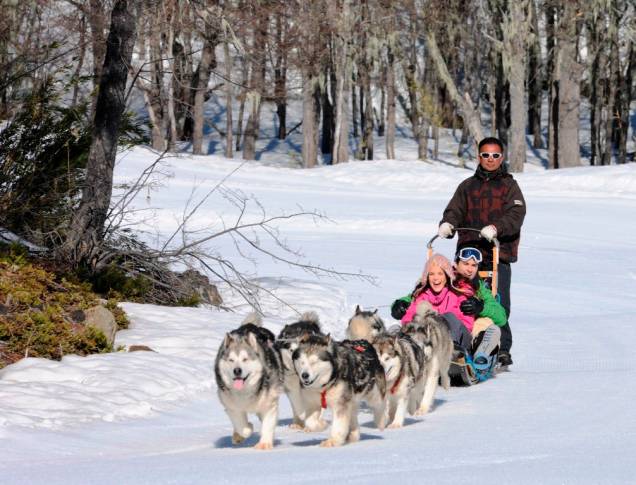 Uma atividade divertida para toda a família é o passeio de trenó de cães Uma atividade divertida para toda a família é o passeio de trenó de cães
