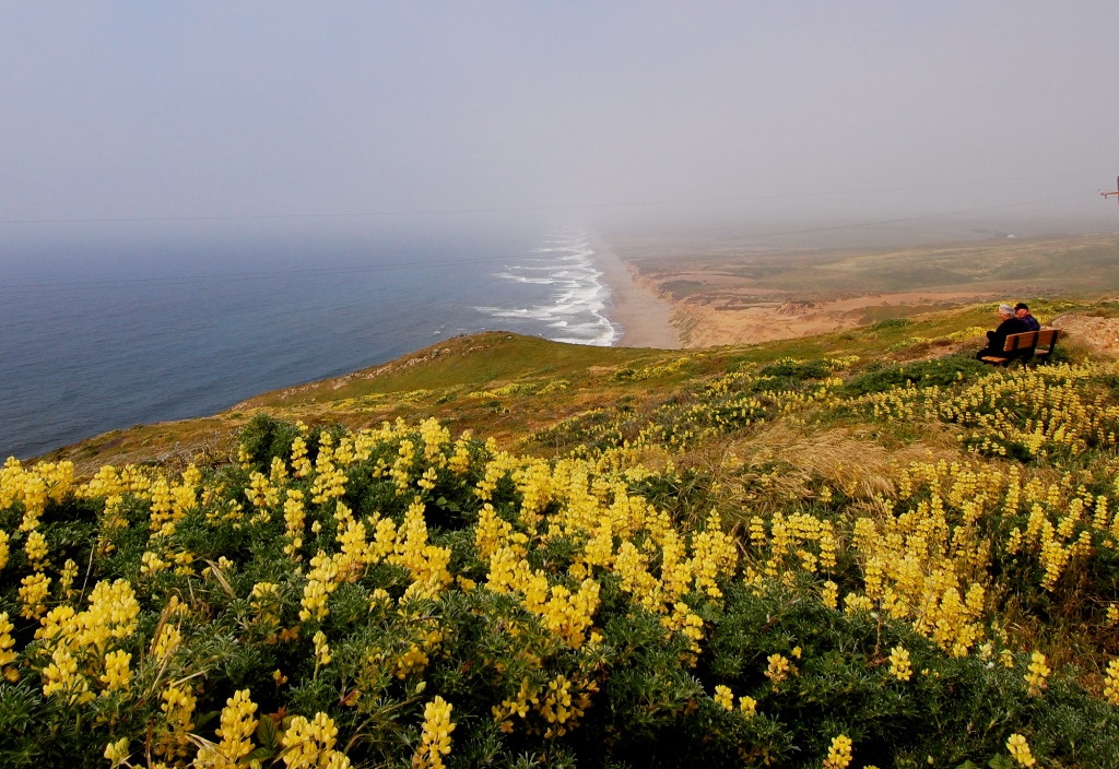 Reyes Point, Califórnia, Estados Unidos Reyes Point, Califórnia, Estados Unidos