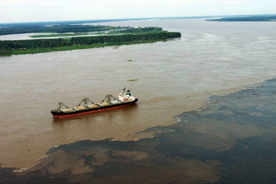 Com diferentes densidades e velocidades, as águas dos rios Negro e Solimões correm cerca de 6 km lado a lado antes de misturarem para formar o gigantesco Rio Amazonas. Botos são comuns pelo caminho