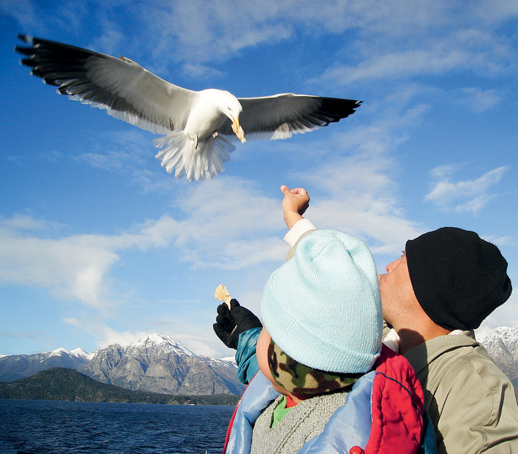 Lago Nahuel Huapi