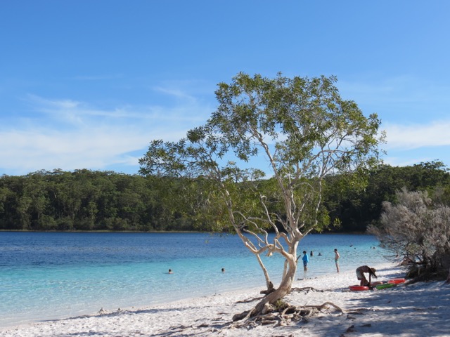 Lagoa em Fraser Island, a ilhona de areia da Costa Leste australiana