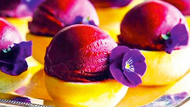 gelateria-fatamorgana-roma-italia.jpeg