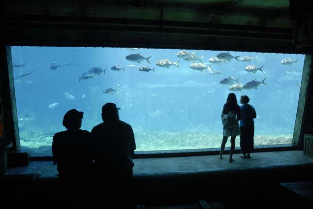 O complexo uShaka Marine World abriga um dos maiores aquários do mundo, com tanques onde vivem tubarões e golfinhos O complexo uShaka Marine World abriga um dos maiores aquários do mundo, com tanques onde vivem tubarões e golfinhos