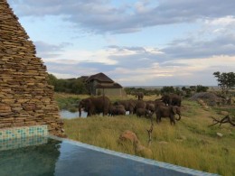 Happy hour com elefantes no novo Four Seasons Safari Lodge, “o” resort do Serengeti, na Tanzânia