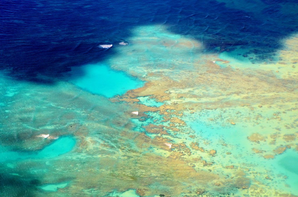 As mil e uma cores do mar havaiano (foto: Anna Laura Wolff)