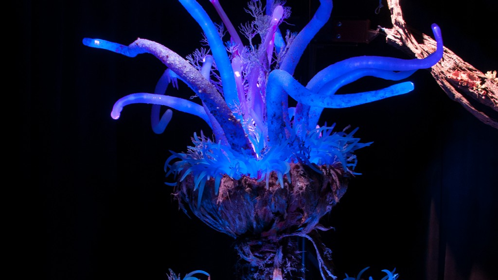 Plantas Bioluminescentes (Foto: Disney Parks Blog)