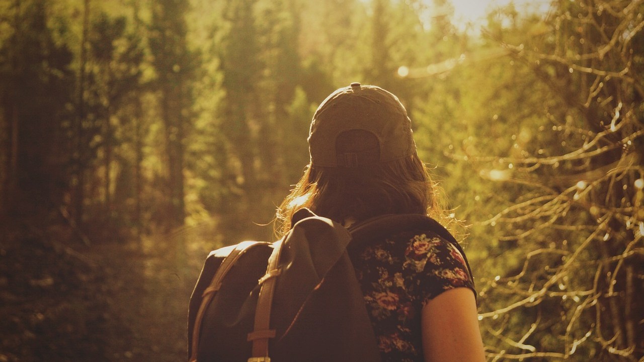 Mulher de costas e boné com mochila caminhando em uma floresta de coníferas com o sol lateral