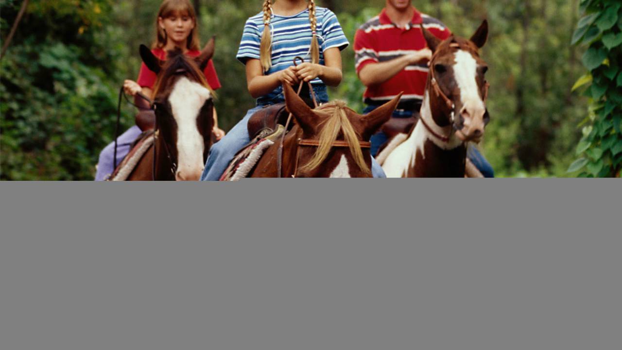 hipismo-disney-lovers2