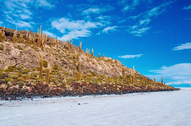 A Ilha Incahuasi, no Salar de Uyuni, é povoada por cactos com séculos de idade, com espinhos tão compridos que assoviam com o vento forte