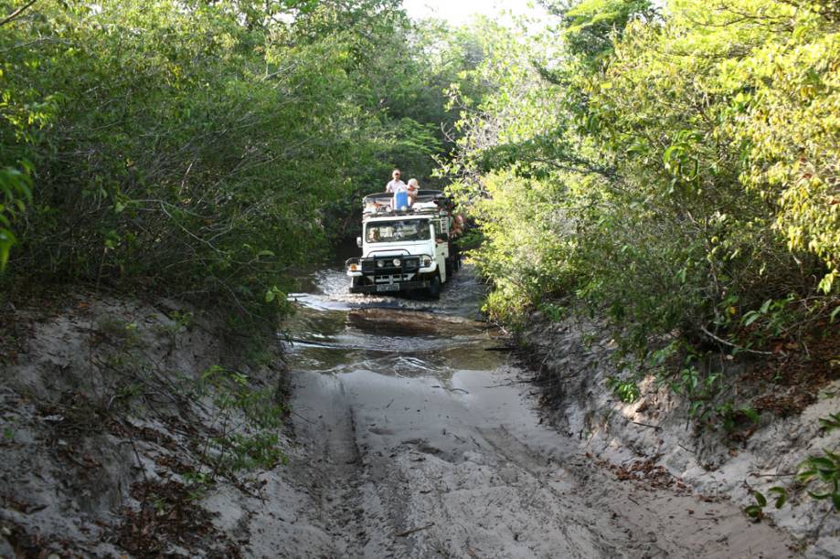 Como a região é arenosa, os carros 4x4 são uma boa maneira de circular pelos <a href="http://viajeaqui.abril.com.br/cidades/br-ma-santo-amaro-do-maranhao" rel="Lençóis Maranhenses (MA)" target="_blank">Lençóis Maranhenses (MA)</a>