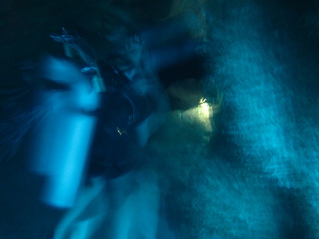 Foto meio paranormal do meu mergulho no Gran Cenote