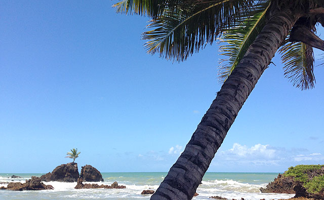 Praia de Tambaba (PB) - na parte não-nudista :p