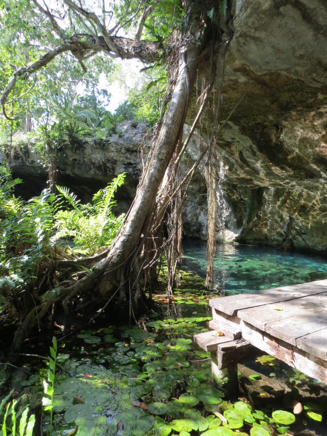 Visual do Gran Cenote de fora