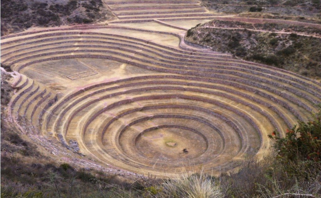 Moray/ Foto: Betina Neves