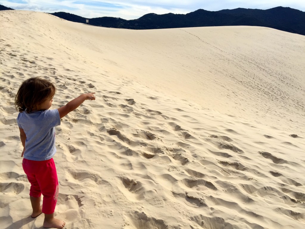 Um "mar de areia" para descer correndo, rolando ou de prancha!! Foto: Família Nômade