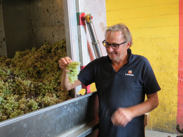 O excêntrico Massa é famoso no Piemonte por ter resgatado a uva autóctone Timorasso do esquecimento. Hoje, ele faz grandes vinhos a partir dessa cepa histórica