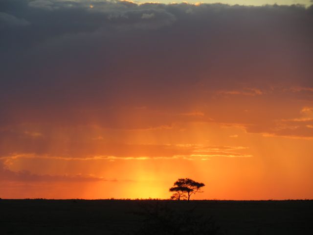 Fim de tarde épico do Serengeti: vale cada centavo