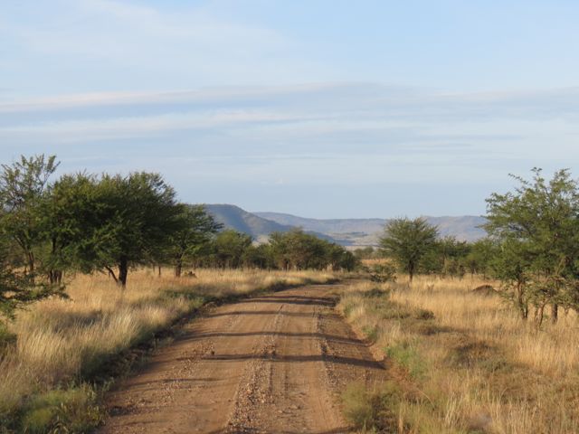 Paisagem típica do Serengeti